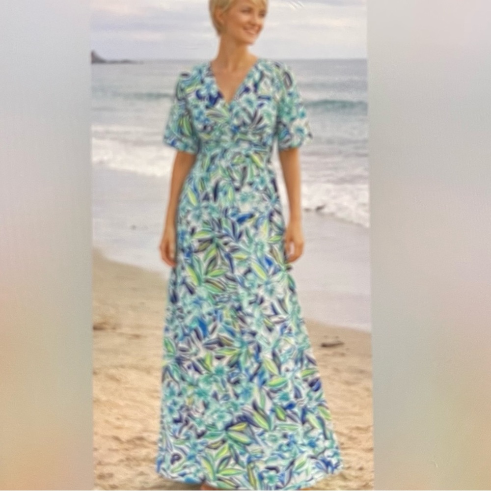 Pappagallo V-Neck Printed Maxi Dress in Blue & Green